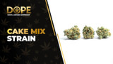 Cake Mix Strain Review: Sweet Flavor & Balanced High