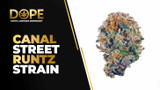 Canal Street Runtz Strain Review | Candy Flavor & Effects
