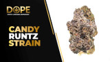 Candy Runtz Strain Review | Sweet Flavor & Effects