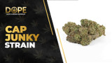 Cap Junky Strain Review: High THC & Relaxing Effects