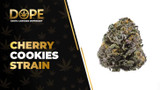 Cherry Cookies Strain Review: Flavor, Effects & THC Guide