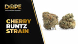 Cherry Runtz Strain Review | Sweet Flavor & Effects