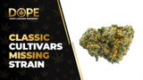 Classic Cultivars Missing Strain Review: Fruity Effects