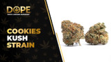 Cookies Kush Strain Review: Flavor, Effects & THC Guide