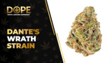 Dante's Wrath Strain Review: Potent Hybrid Effects Guide