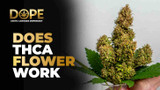 Does THCA Flower Work? Effects, High & Legal Guide 2025