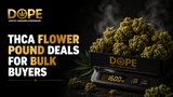THCA Flower Pound Deals for Bulk Buyers