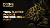 THCA Flower Pounds Premium Bulk Hemp