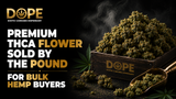 Premium THCA Flower Sold by the Pound for Bulk Hemp Buyers