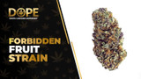 Forbidden Fruit Strain: Tropical Flavor & Relaxing High
