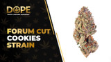 Forum Cut Cookies Strain Review: Flavor, Effects & THC