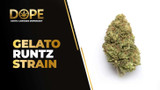Gelato Runtz Strain Review | Creamy Candy & Effects