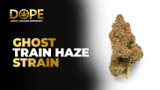 Ghost Train Haze Strain Review: Effects, and Grow Info