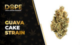 Guava Cake Strain Review: Flavor, Effects & Potency