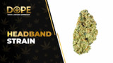 Headband Strain Review: Effects, Flavor & THC Guide