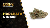 Horchata Strain: Flavor, Effects, Genetics & THCA Flower