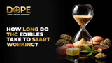 How Long Do THC Edibles Take to Start Working? 