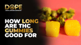 How Long Are THC Gummies Good For? Shelf Life & Storage Tips How Long Are THC Gummies Good For? Shelf Life & Storage Tips