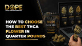 How to Choose the Best THCA Flower in Quarter Pounds