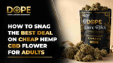 How to Snag the Best Deal On Cheap Hemp CBD Flower For Adults