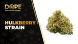 Hulkberry Strain Review: Flavor, Effects & THC Guide