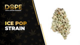 Ice Pop Strain Review: Citrus Flavour & Relaxing Effects