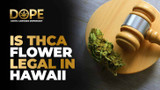 Is THCA Flower Legal in Hawaii? 2025 Law & Hemp Guide