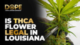 Is THCA Flower Legal in Louisiana? New Law Explained