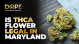 Is THCA Flower Legal in Maryland? 2025 Legal Guide by Dope