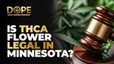 Is THCA Flower Legal in Minnesota? Laws & Buying Guide