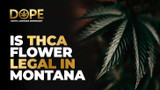 Is THCA Flower Legal in Montana? 2025 Laws & Guide