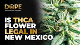 Is THCA Flower Legal in New Mexico? Laws & Regulations