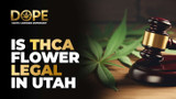 Is THCA Flower Legal in Utah? 2025 Laws & Restrictions