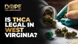 Is THCA Flower Legal in West Virginia? 2025 Hemp Guide Is THCA Flower Legal in West Virginia? 2025 Hemp Guide