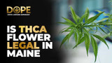 Is THCA Flower Legal in Maine? Your 2025 Legal Guide by Dope