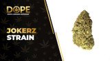 Jokerz Strain Review: Flavor, Effects & Growing Guide