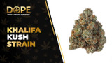 Khalifa Kush Strain Review: Effects, Flavor & THC