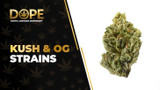 Kush & OG Strain Review: Effects, Flavor & Growing Guide