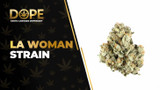 LA Woman Strain: Flavor, Effects & THCA Flower Guide