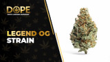 Legend OG Strain Review: Effects, Flavor & THC Guide
