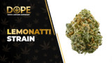 Lemonatti Strain Review: Citrus Flavor & Potent Effects