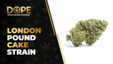 London Pound Cake Strain: Flavor, Effects & Review