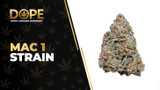 MAC 1 Strain Review: Effects, Flavor & Potency Guide