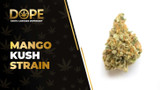 Mango Kush Strain Review: Tropical Flavor & Relaxing High