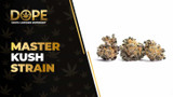 Master Kush Strain Review: Classic Calm & Relaxation