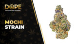 Mochi Strain Review: Flavor, Effects & Growing Guide