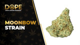 Moonbow Strain Review: Flavor, Effects & Growing Guide