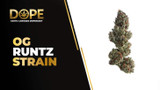 OG Runtz Strain Review: Sweet Candy & Kush Gas Power