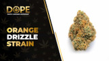 Orange Drizzle Strain: Flavor, Effects & Genetics