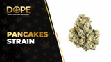 Pancakes Strain: Sweet Flavor, Effects & Hybrid Genetics